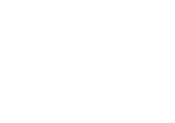 Logo Manfred Karger Umzüge 03